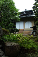 霊雲院茶室