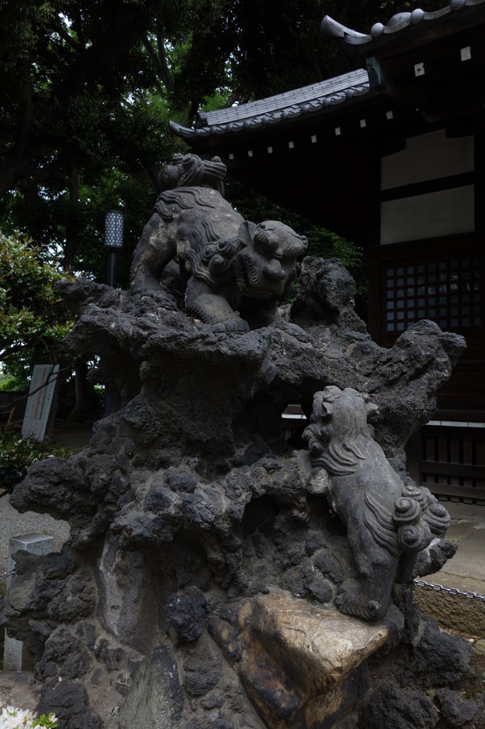 堂々と