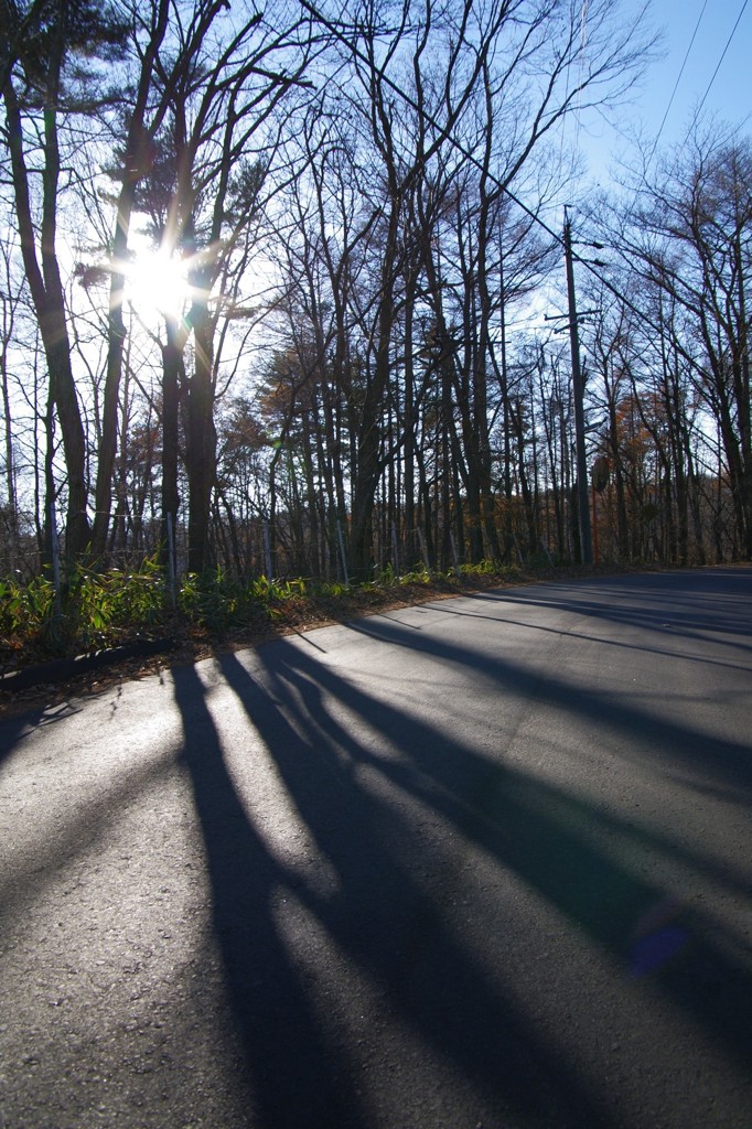 光の路