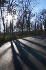 光の路