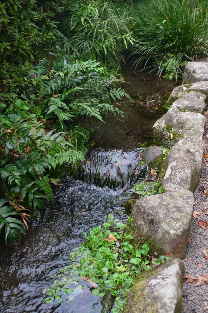 深大寺の清流