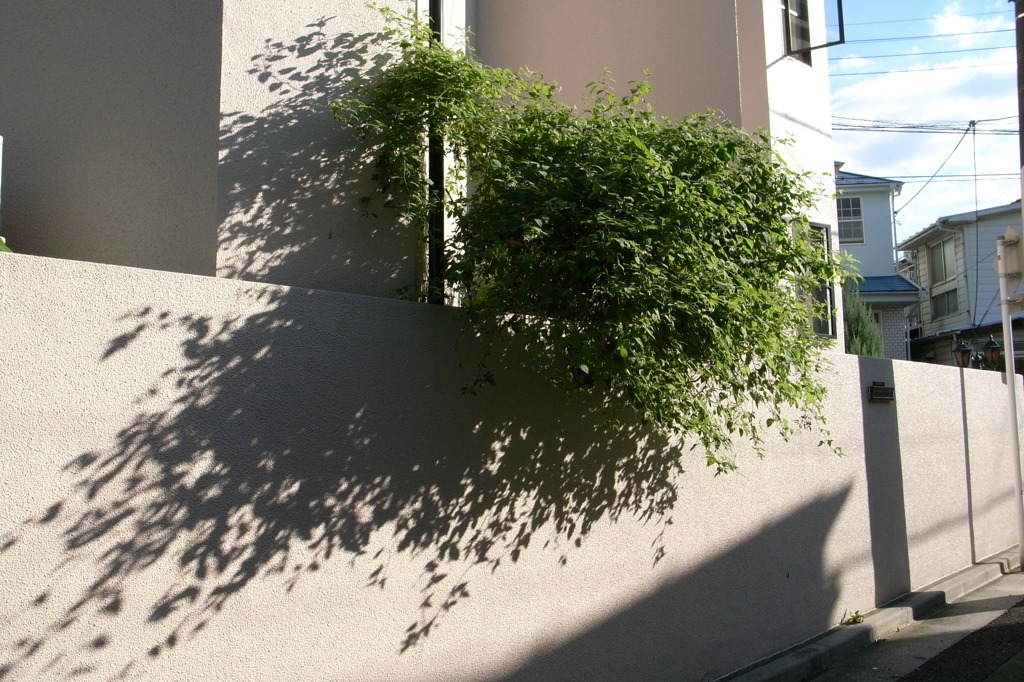 路地裏