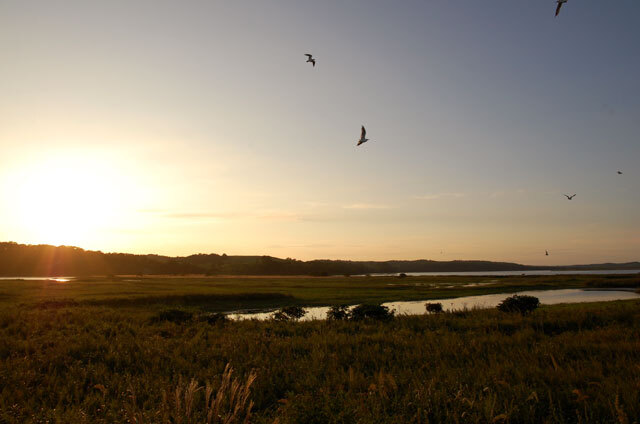 夕暮れの湧洞沼