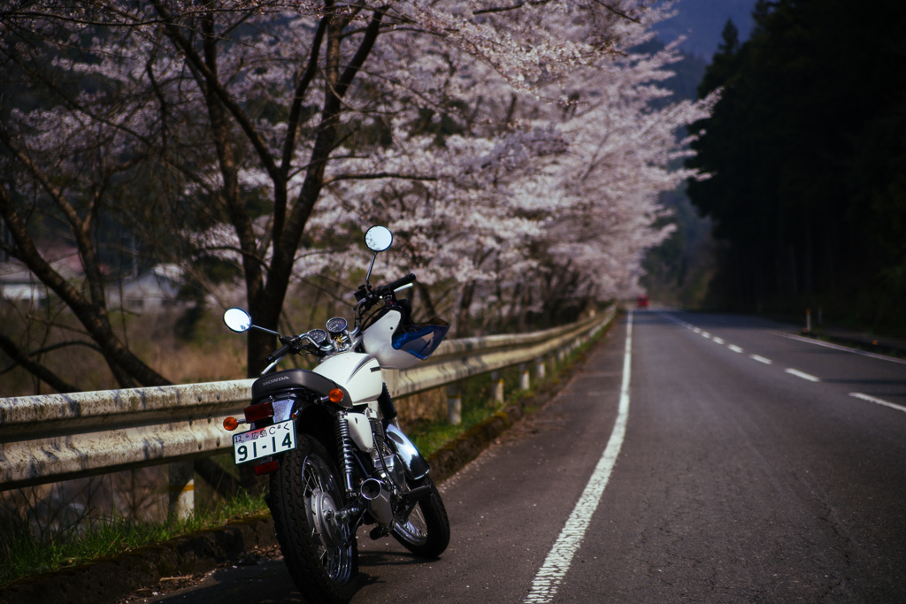 目がかゆい･･･