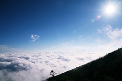富士の雲海