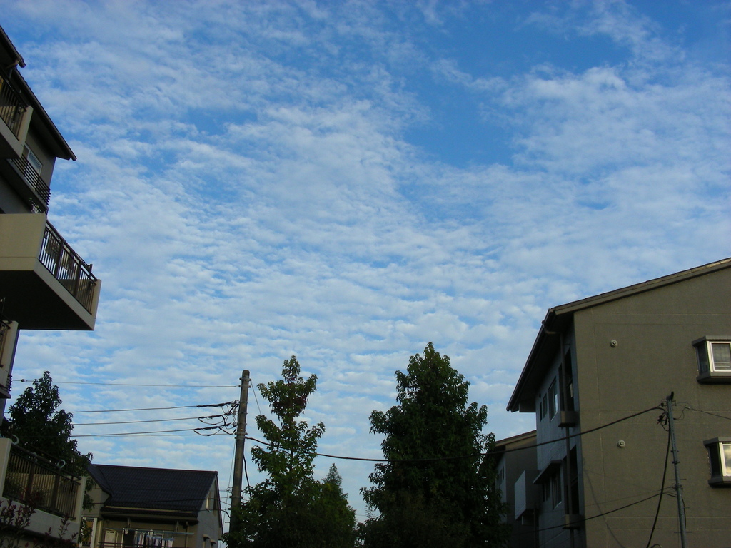 秋の雲