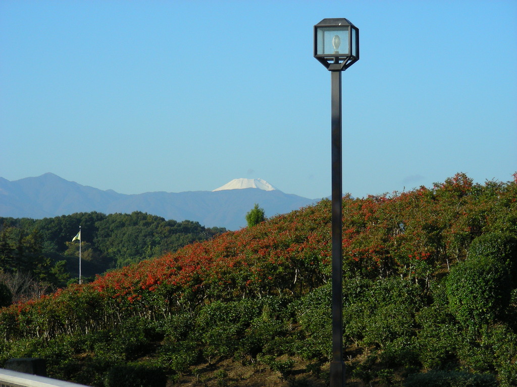Mt. Fuji