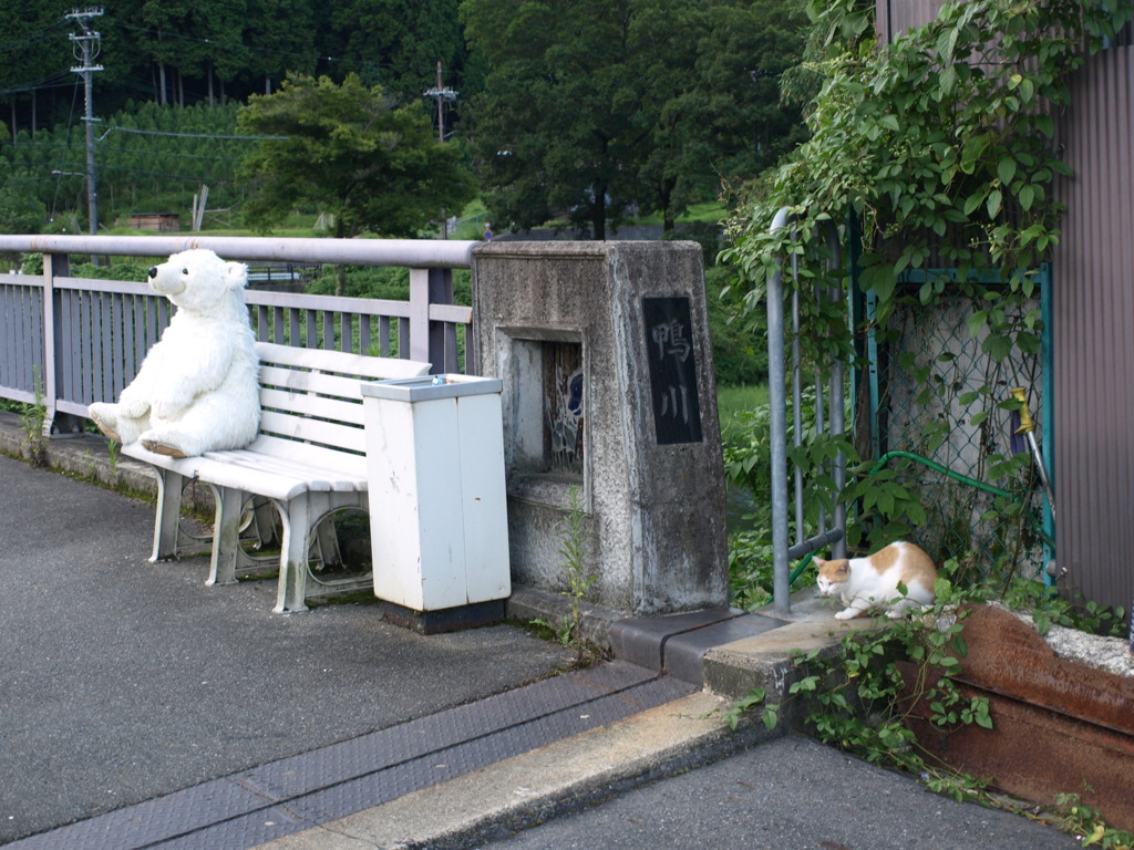 熊と猫