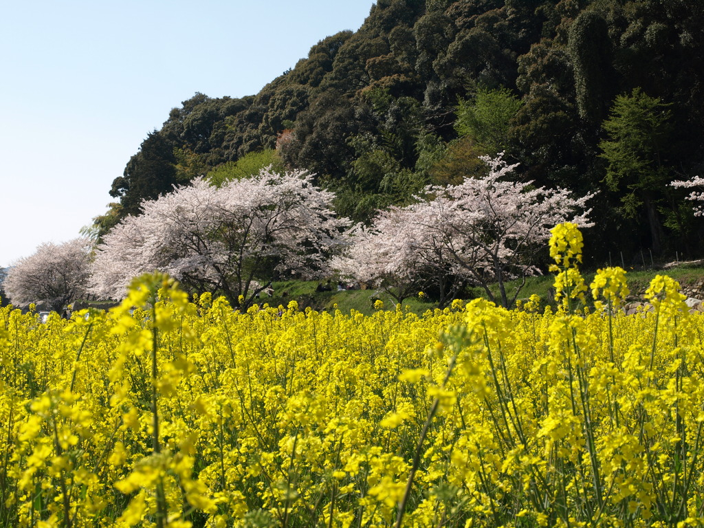 安土城址