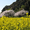 安土城址