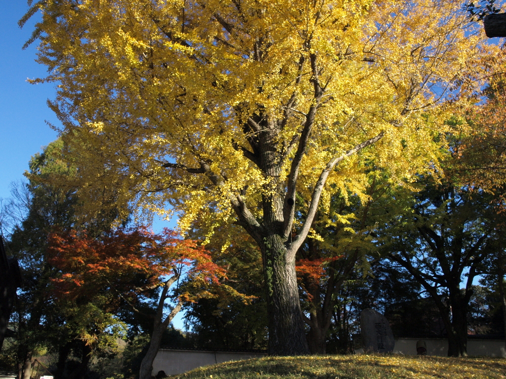 東大寺西門跡