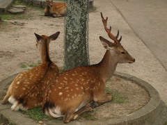 仲良し