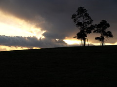 公園の空