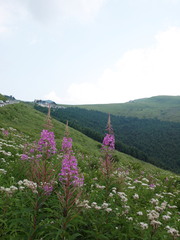 霧ヶ峰