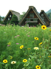 白川郷