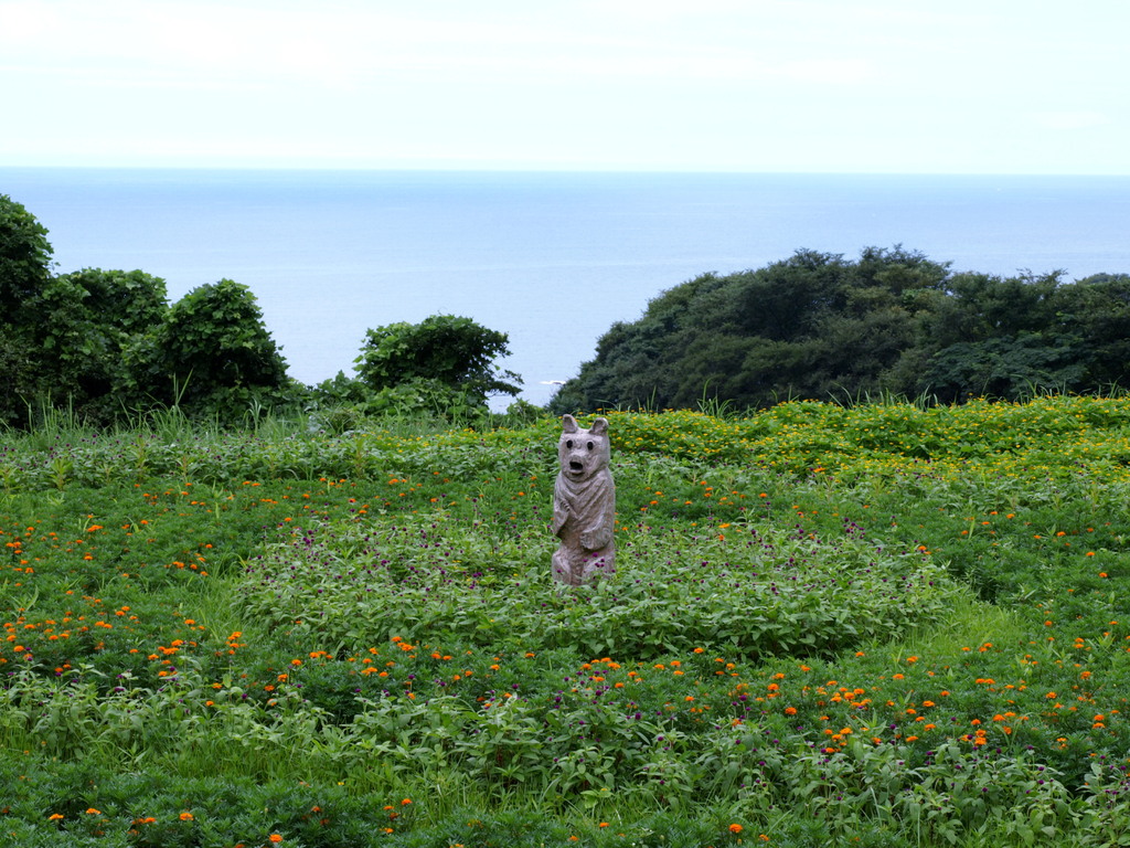 海辺の犬・熊？？