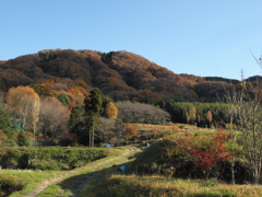 秋の龍王山