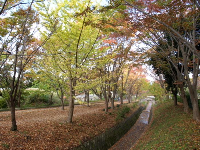 秋の散歩道