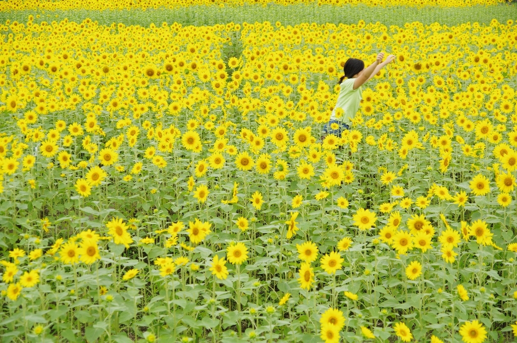 3791265359_b3e476248d_o