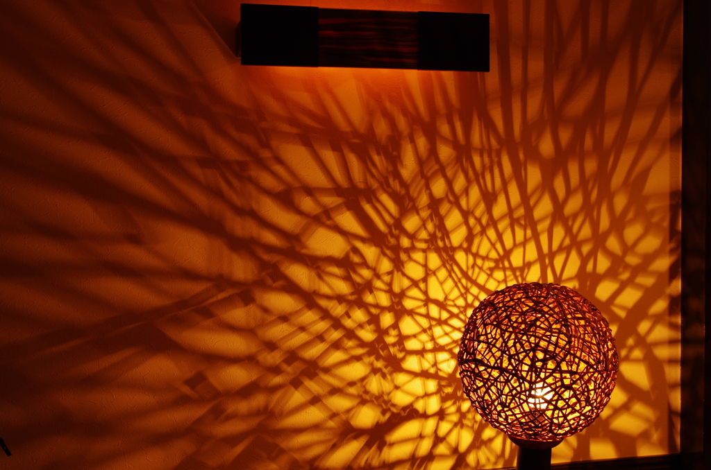 8147865720_602b68bf8e_o