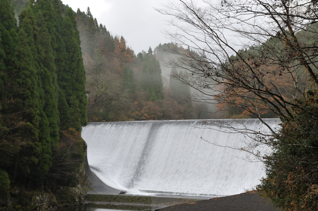 霧雨の白水ダム