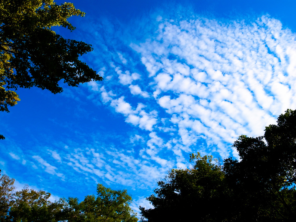 大阪の空