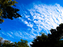 大阪の空