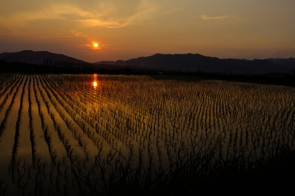 自宅前の夕日