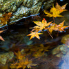 秋色の水