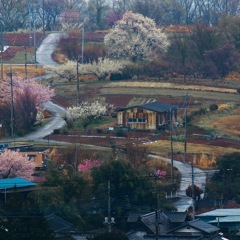 Country Road