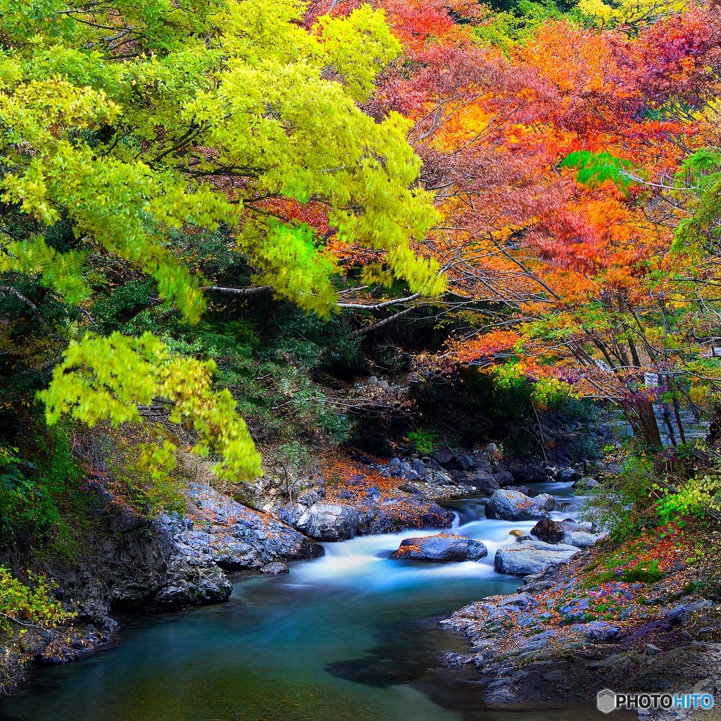 田舎静流２