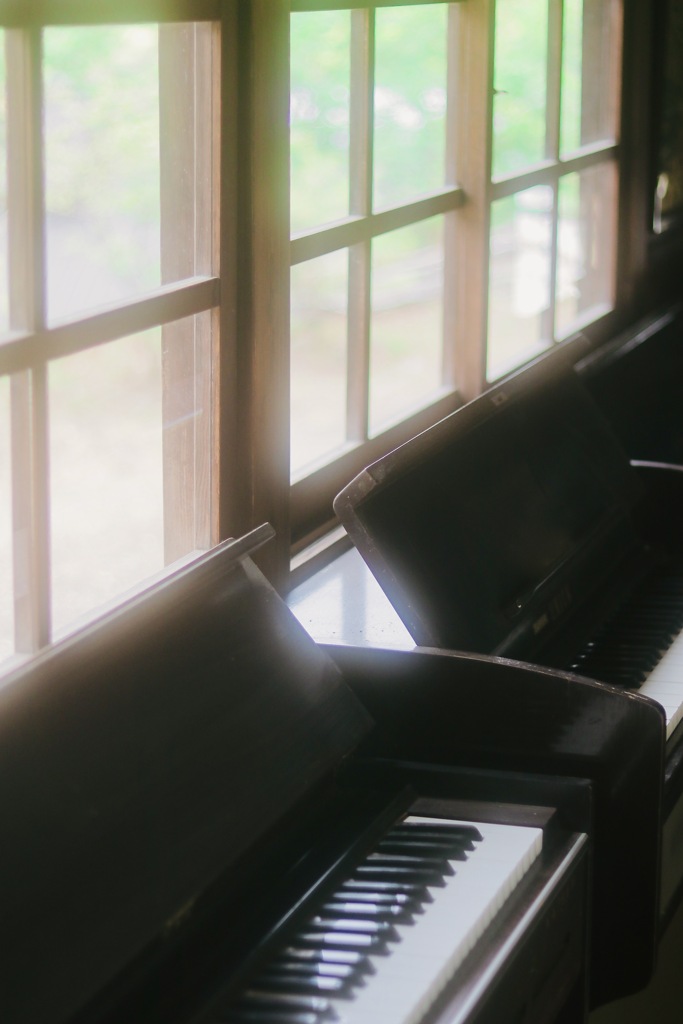 organ