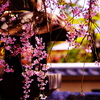 和・美・桜。