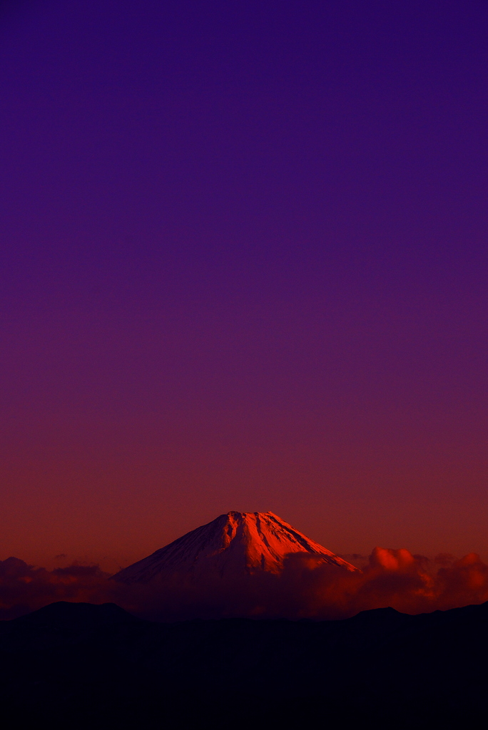 「不動如山」