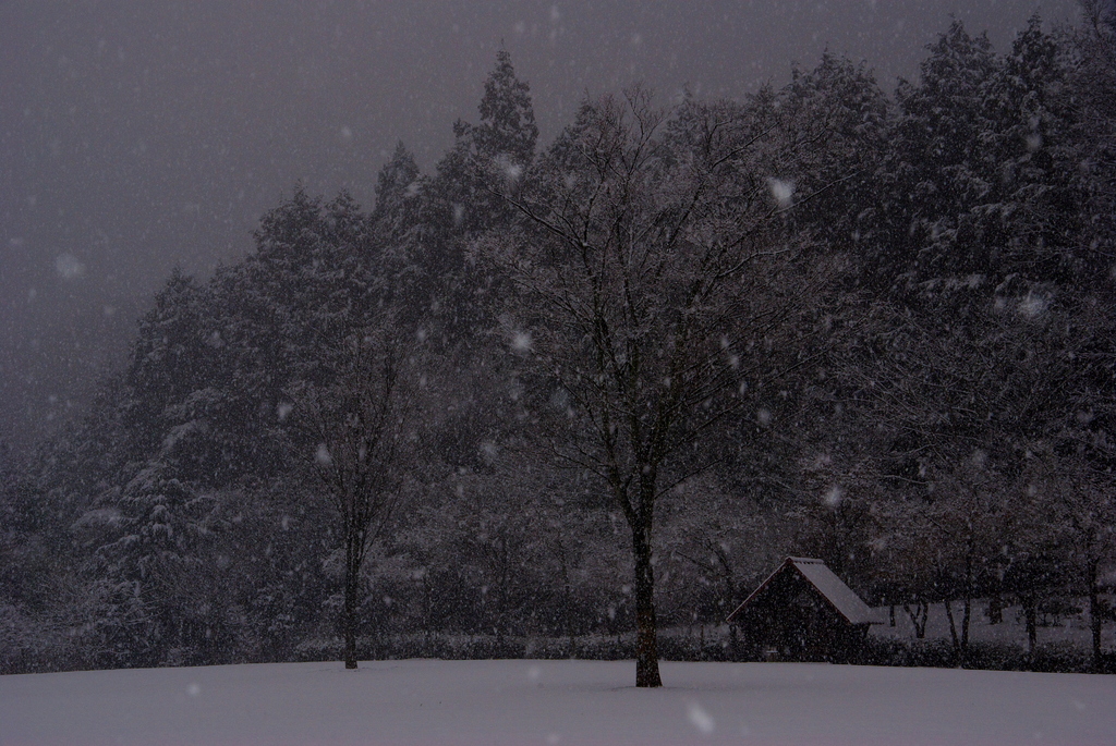 雪景色。