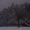 雪景色。