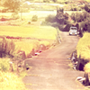 little truck Ⅳ