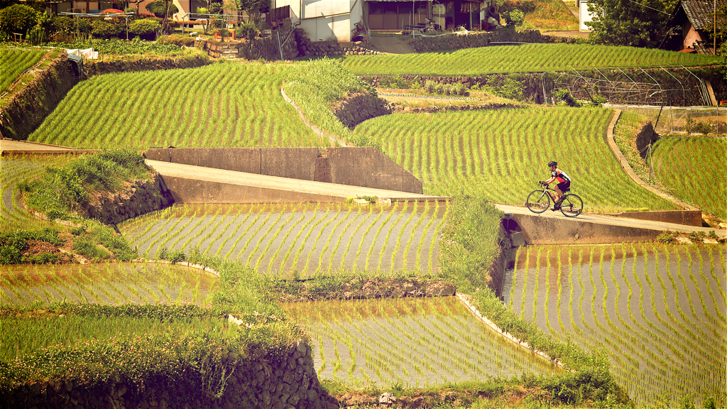 cycling