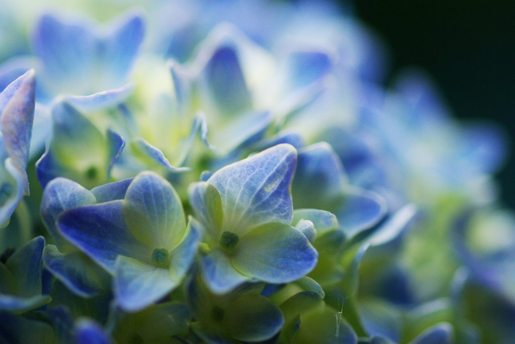 淡blue。