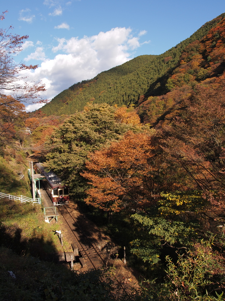 秋色の本宿駅