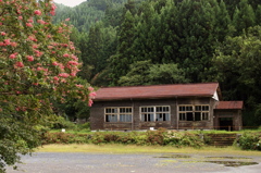 百日紅のある廃校の風景