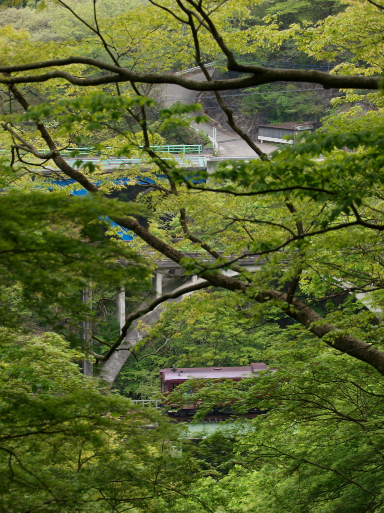 わたらせ３連橋