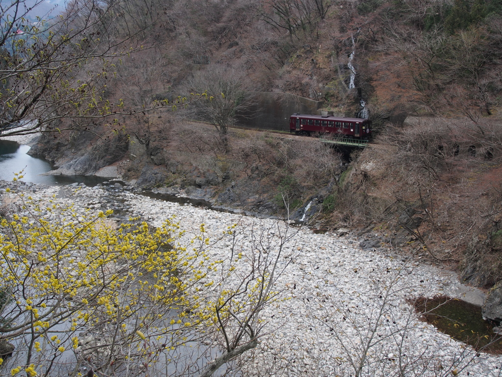 春の訪れ　去りゆく302号
