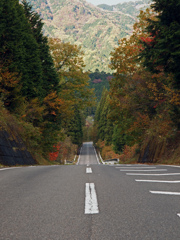 山のハイウェイ？