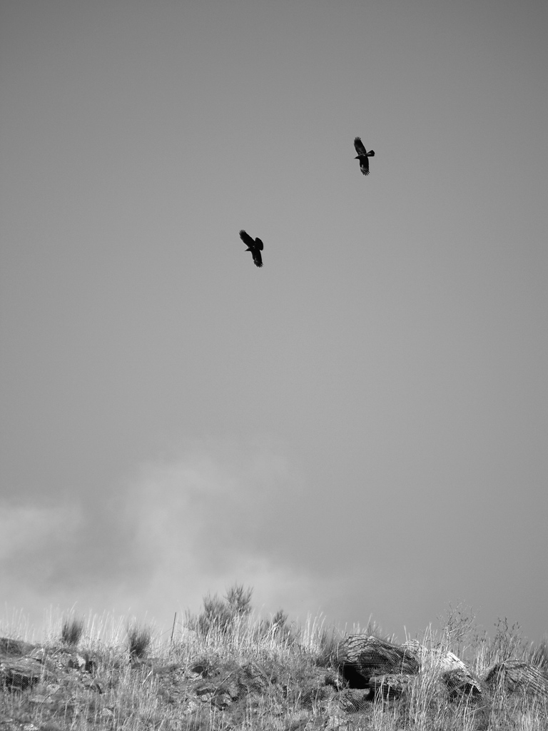 空