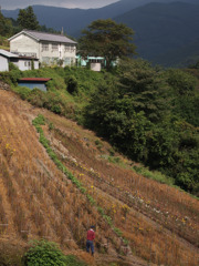 山の暮らし