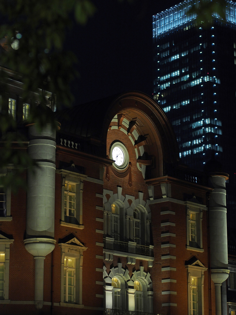 Tokyo Station 2