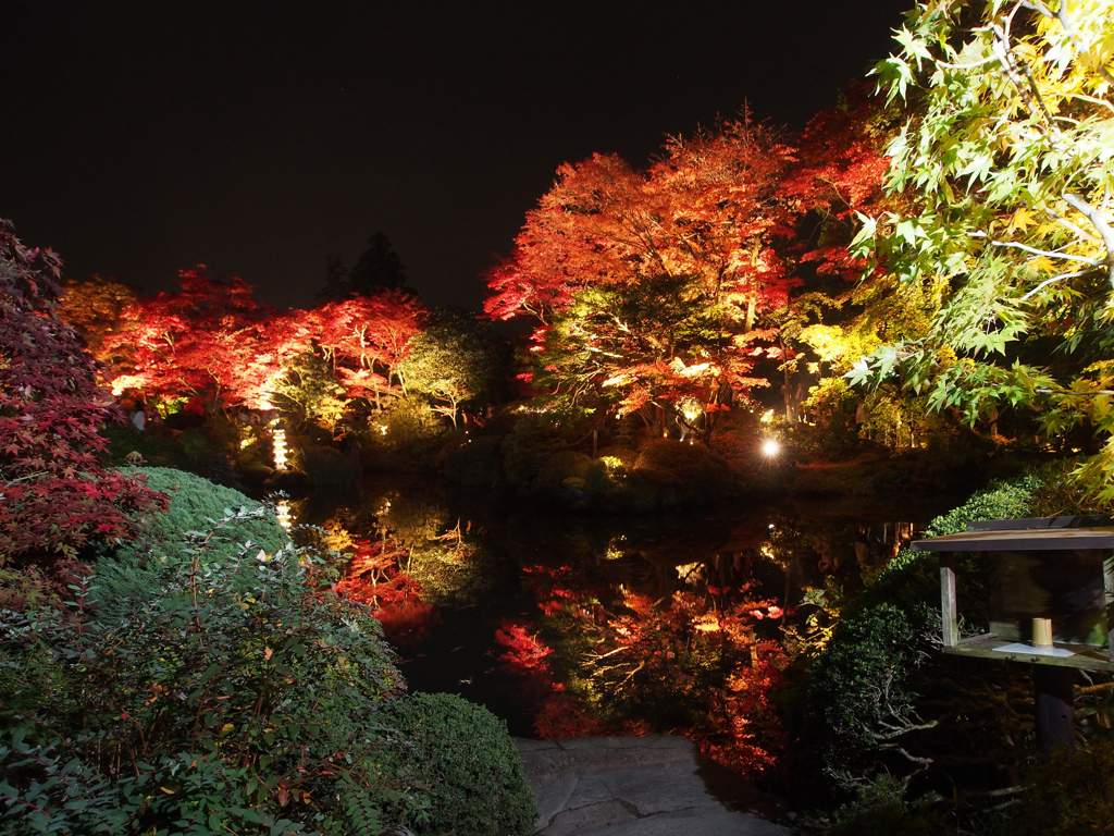 特別な日光の夜　３