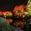 特別な日光の夜　３