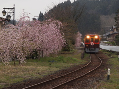 新トロッコ列車